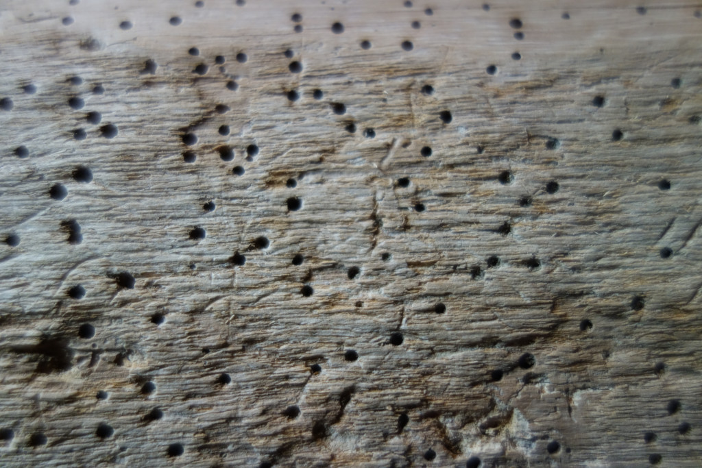 Cómo eliminar la carcoma en vigas de madera I UMBRALIA